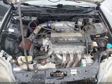 Miniaturka zdjęcia 10