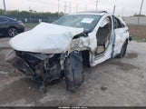 Miniaturka zdjęcia 2