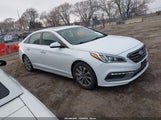 Hyundai Sonata Sport 5NPE34AF3HH517900 photo