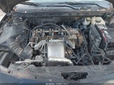 Miniaturka zdjęcia 10