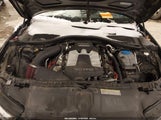 Miniaturka zdjęcia 10