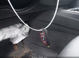 Miniaturka zdjęcia 11