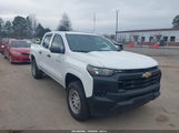 Chevrolet Colorado 2Wd Wt 1GCGSBEC6R1191275 fotografie