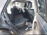 Miniaturka zdjęcia 8