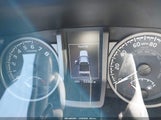 Miniaturka zdjęcia 7
