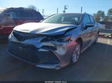 Miniaturka zdjęcia 2