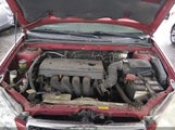 Toyota Corolla Le JTDBR32E560061538 снимка