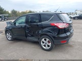 Miniaturka zdjęcia 6