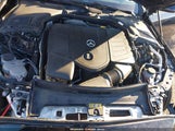 Miniaturka zdjęcia 10