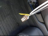 Miniaturka zdjęcia 11