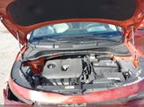 Miniaturka zdjęcia 10