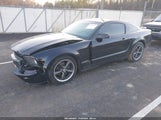 Ford Mustang Gt/Gt Premium 1ZVHT82H195136212 fotografie