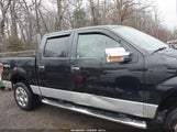 Ford F-150 Xlt 1FTFW1EF8BFA35381 снимка