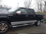 Ford F-150 Xlt 1FTFW1EF8BFA35381 снимка