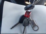 Miniaturka zdjęcia 11