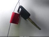 Miniaturka zdjęcia 11
