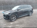 Miniaturka zdjęcia 2