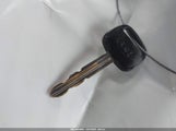 Miniaturka zdjęcia 11