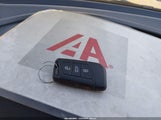 Miniaturka zdjęcia 11