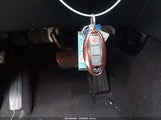 Miniaturka zdjęcia 11