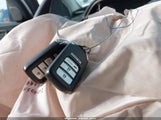 Miniaturka zdjęcia 11