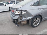 Miniaturka zdjęcia 6