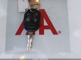 Miniaturka zdjęcia 11