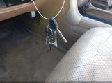 Honda Pilot Ex-L 2HKYF18654H506464 снимка