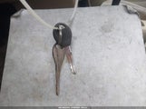 Nissan Altima Gle/Gxe/Se/Se-L/Xe 1N4DL01D0XC208369 photo