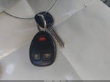Miniaturka zdjęcia 11