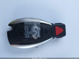 Miniaturka zdjęcia 11