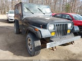 Jeep Wrangler / Yj S/Rio Grande 1J4FY19P8SP225862 снимка