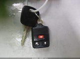 Miniaturka zdjęcia 11