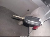 Miniaturka zdjęcia 11