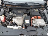 Miniaturka zdjęcia 10
