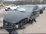 Miniaturka zdjęcia 2