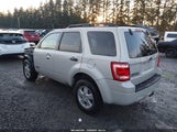 Ford Escape Xlt 1FMCU93108KC32586 снимка