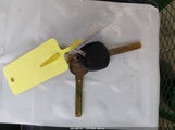Miniaturka zdjęcia 11