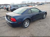 Ford Mustang 1FAFP40471F225388 снимка