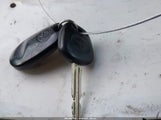 Miniaturka zdjęcia 11