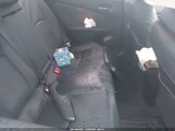 Miniaturka zdjęcia 8