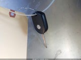 Miniaturka zdjęcia 11