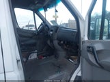 Miniaturka zdjęcia 5