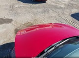 Miniaturka zdjęcia 10