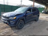 Jeep Compass Trailhawk 4X4 3C4NJDDB1KT620433 снимка