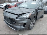 Miniaturka zdjęcia 6