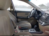 Miniaturka zdjęcia 5