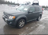 Ford Escape Limited 1FMCU04G49KA91893 снимка