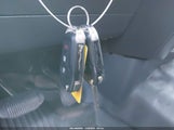 Miniaturka zdjęcia 11