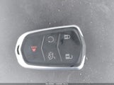 Miniaturka zdjęcia 11